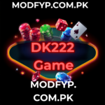 DK222 Game