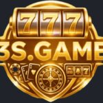 3S game